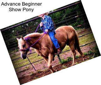 Advance Beginner Show Pony