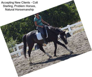Accepting New Clients - Colt Starting, Problem Horses, Natural Horsemanship