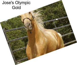 Jose\'s Olympic Gold