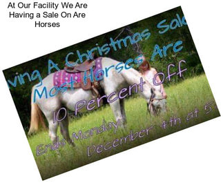 At Our Facility We Are Having a Sale On Are Horses
