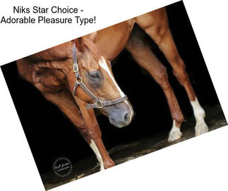 Niks Star Choice - Adorable Pleasure Type!
