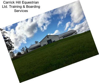 Carrick Hill Equestrian Ltd. Training & Boarding Services