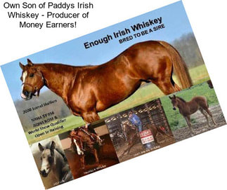 Own Son of Paddys Irish Whiskey - Producer of Money Earners!