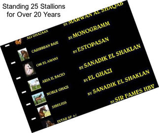Standing 25 Stallions for Over 20 Years