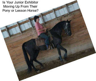 Is Your Junior Exhibitor Moving Up From Their Pony or Lesson Horse?