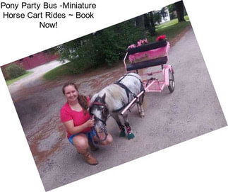 Pony Party Bus -Miniature Horse Cart Rides ~ Book Now!