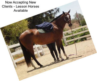 Now Accepting New Clients - Lesson Horses Available