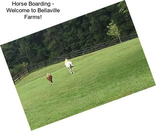 Horse Boarding - Welcome to Bellaville Farms!