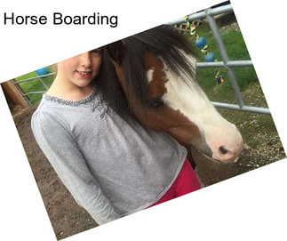 Horse Boarding