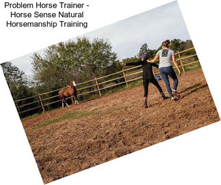 Problem Horse Trainer - Horse Sense Natural Horsemanship Training