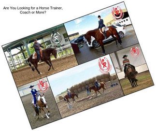 Are You Looking for a Horse Trainer, Coach or More?