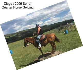 Diego : 2006 Sorrel Quarter Horse Gelding