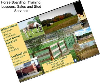 Horse Boarding, Training, Lessons, Sales and Stud Services