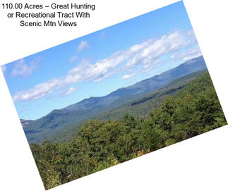 110.00 Acres – Great Hunting or Recreational Tract With Scenic Mtn Views