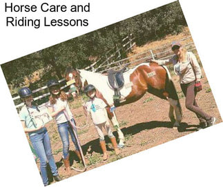 Horse Care and Riding Lessons