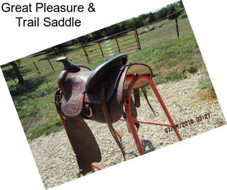 Great Pleasure & Trail Saddle