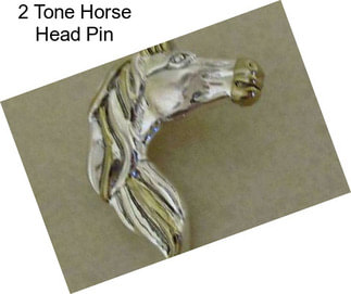 2 Tone Horse Head Pin