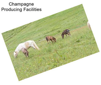 Champagne Producing Facilities