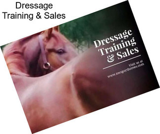Dressage Training & Sales