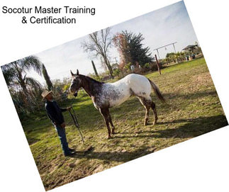 Socotur Master Training & Certification