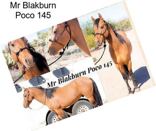 Mr Blakburn Poco 145