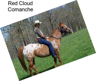 Red Cloud Comanche