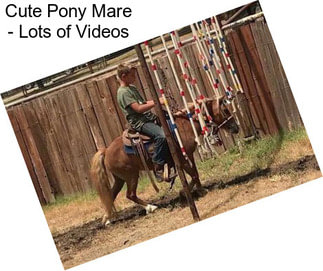 Cute Pony Mare - Lots of Videos