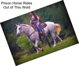 Prison Horse Rides Out of This Wold