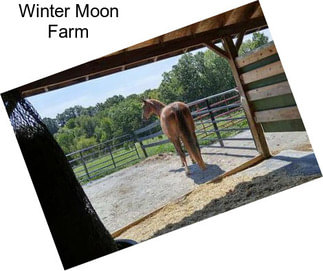 Winter Moon Farm