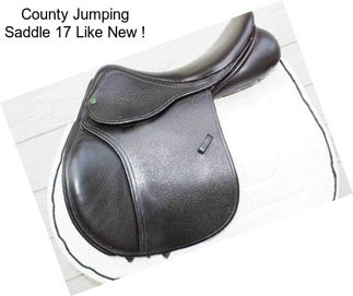 County Jumping Saddle 17\