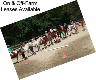 On & Off-Farm Leases Available