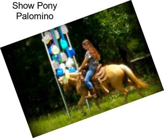 Show Pony Palomino