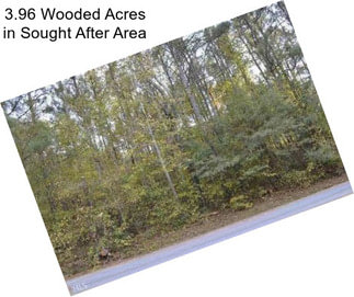3.96 Wooded Acres in Sought After Area