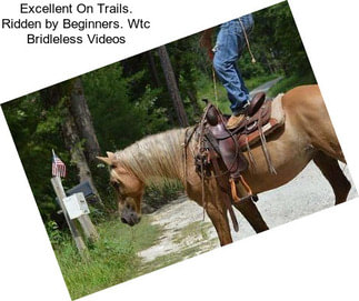 Excellent On Trails. Ridden by Beginners. Wtc Bridleless Videos