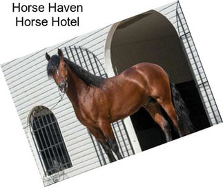Horse Haven Horse Hotel