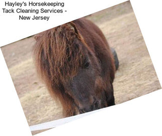 Hayley\'s Horsekeeping Tack Cleaning Services - New Jersey