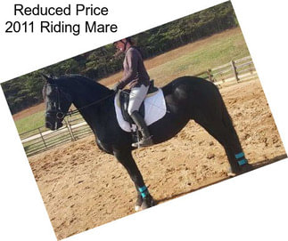 Reduced Price 2011 Riding Mare