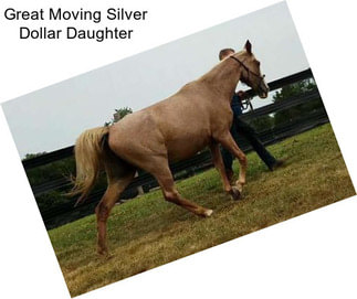 Great Moving Silver Dollar Daughter