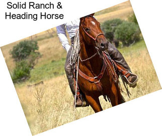 Solid Ranch & Heading Horse