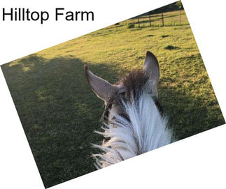 Hilltop Farm