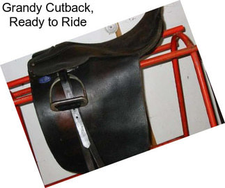 Grandy Cutback, Ready to Ride