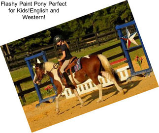 Flashy Paint Pony Perfect for Kids!English and Western!