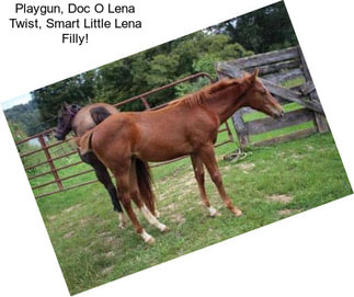 Playgun, Doc O Lena Twist, Smart Little Lena Filly!