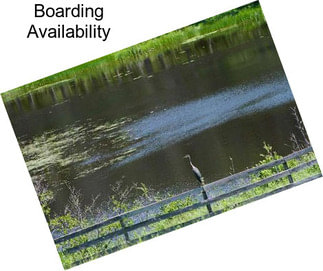 Boarding Availability