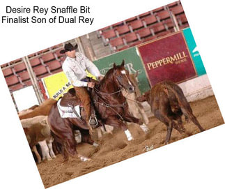 Desire Rey Snaffle Bit Finalist Son of Dual Rey