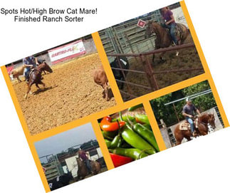 Spots Hot/High Brow Cat Mare! Finished Ranch Sorter