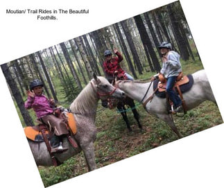 Moutian/ Trail Rides in The Beautiful Foothills.