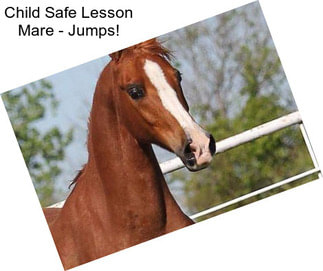 Child Safe Lesson Mare - Jumps!