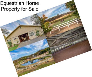 Equestrian Horse Property for Sale