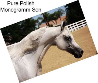 Pure Polish Monogramm Son